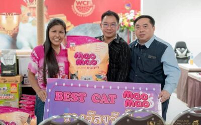 งาน INTERNATIONAL CAT SHOW BY BCT