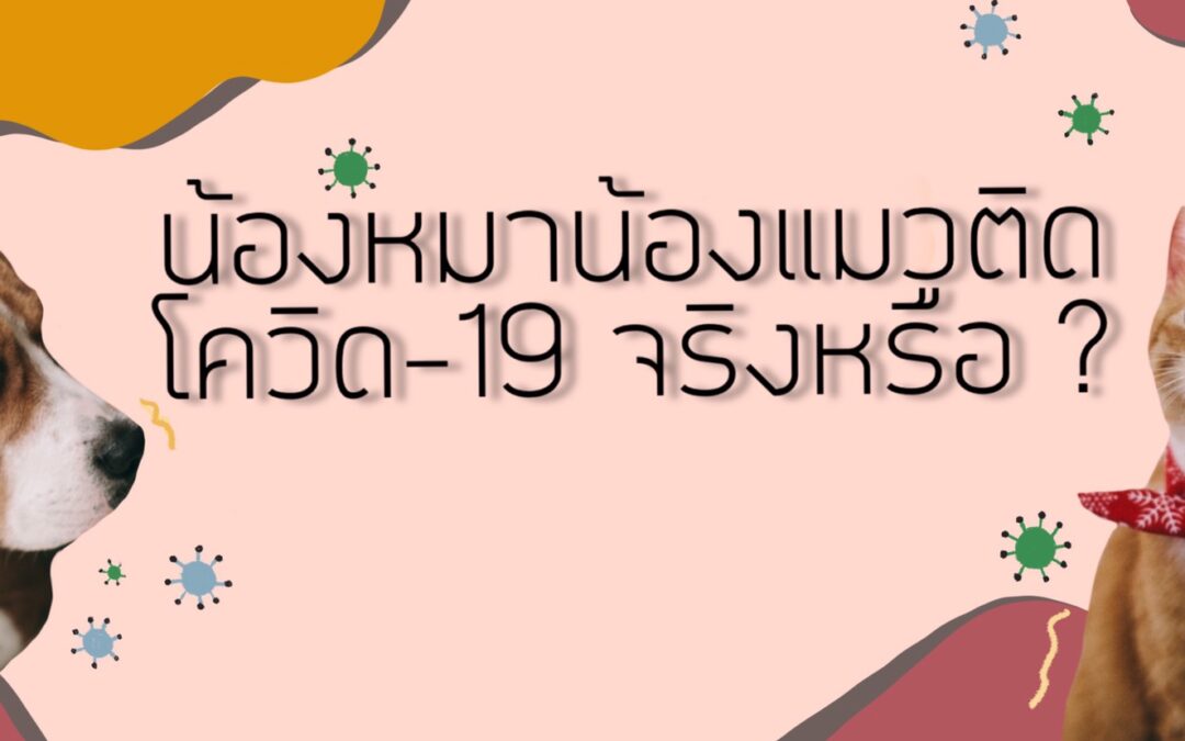 น้องหมาน้องแมวติดCOVID-19 จริงหรือ ?