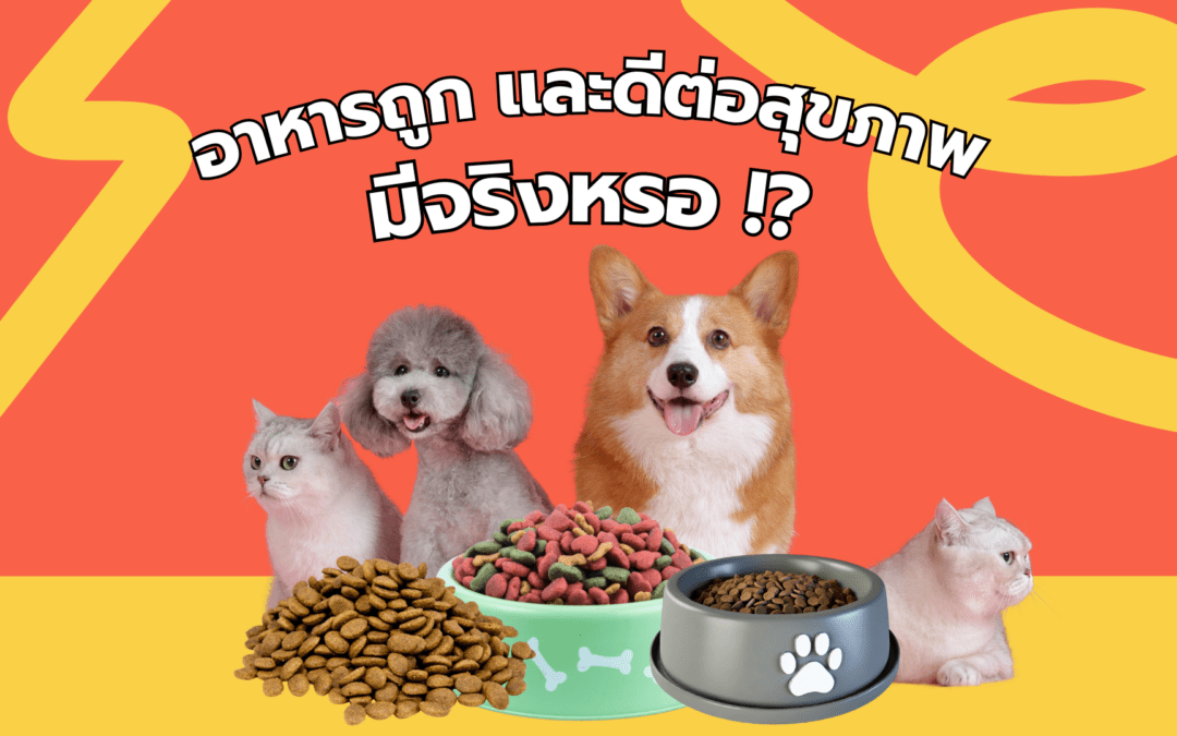 อาหารถูกและดีต่อสุขภาพมีจริงหรอ !?