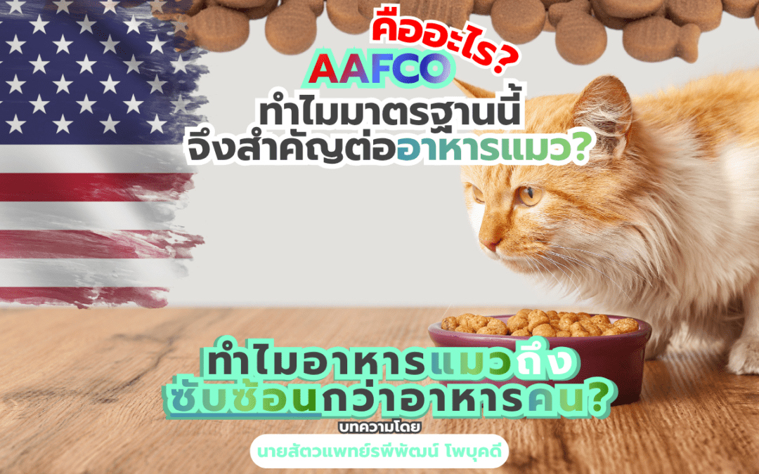 AAFCO คืออะไร? ทำไมมาตรฐานนี้จึงสำคัญต่ออาหารแมว