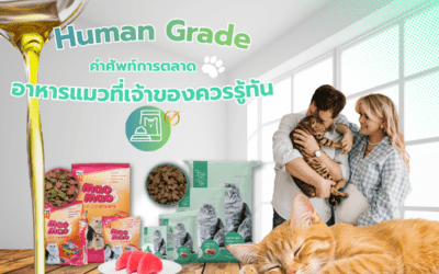 คำศัพท์การตลาดอาหารแมวที่ เจ้าของ ควรรู้ทัน :  ตอนที่ 1 “Human Grade”และความจริงเบื้องหลังฉลาก