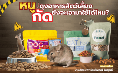 หนูกัดถุงอาหารสุนัข/แมว… ยังจะเอามาใช้ได้ไหม?