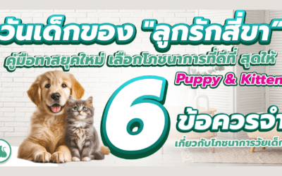 วันเด็กของ “ลูกรักสี่ขา”: คู่มือทาสยุคใหม่ เลือกโภชนาการที่ดีที่สุดให้ Puppy & Kitten!