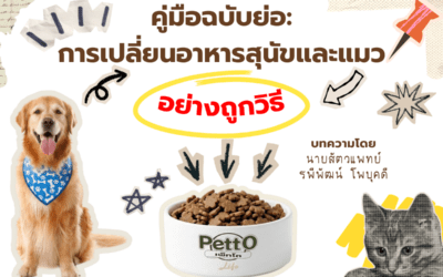 คู่มือฉบับย่อ: การเปลี่ยนอาหารสุนัขและแมวอย่างถูกวิธี