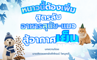 หนาวนี้ต้องเพิ่ม! สูตรลับอาหารสุนัข-แมวสู้อากาศเย็น