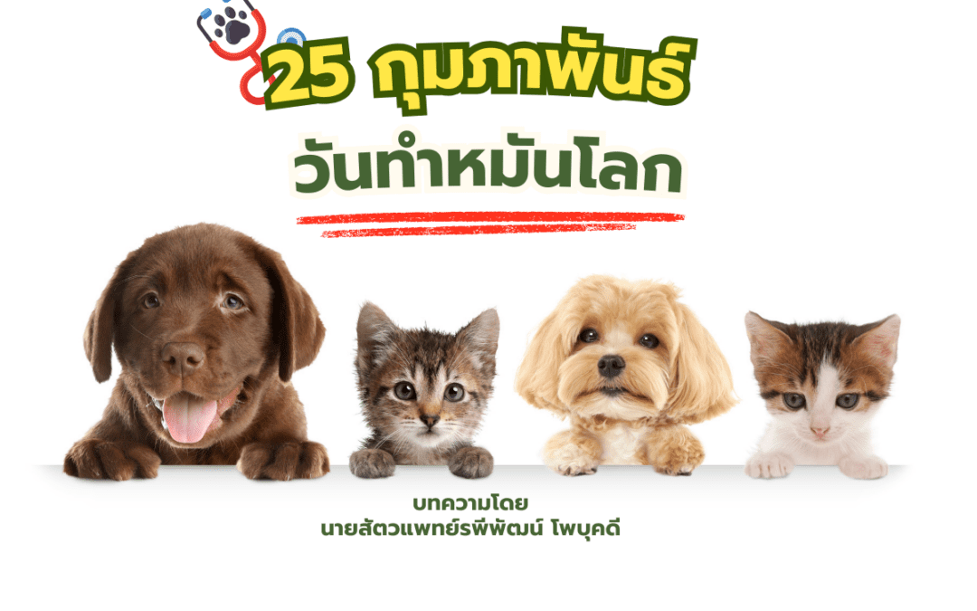 25 กุมภาพันธ์ วันทำหมันโลก (World Spay Day)