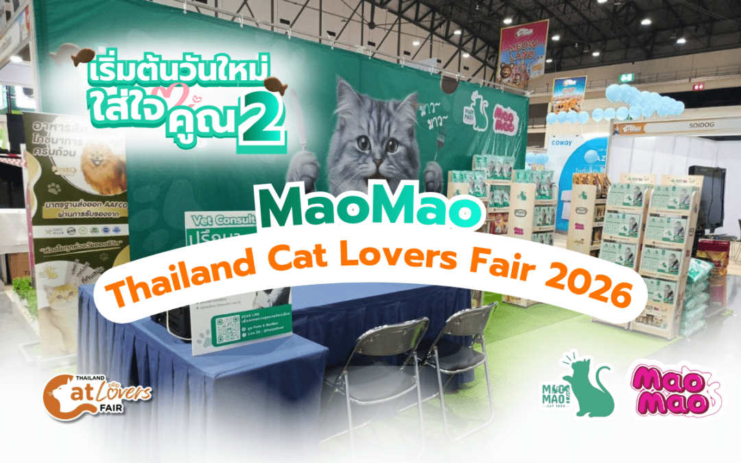 MaoMao x Thailand Cat Lovers Fair 2026