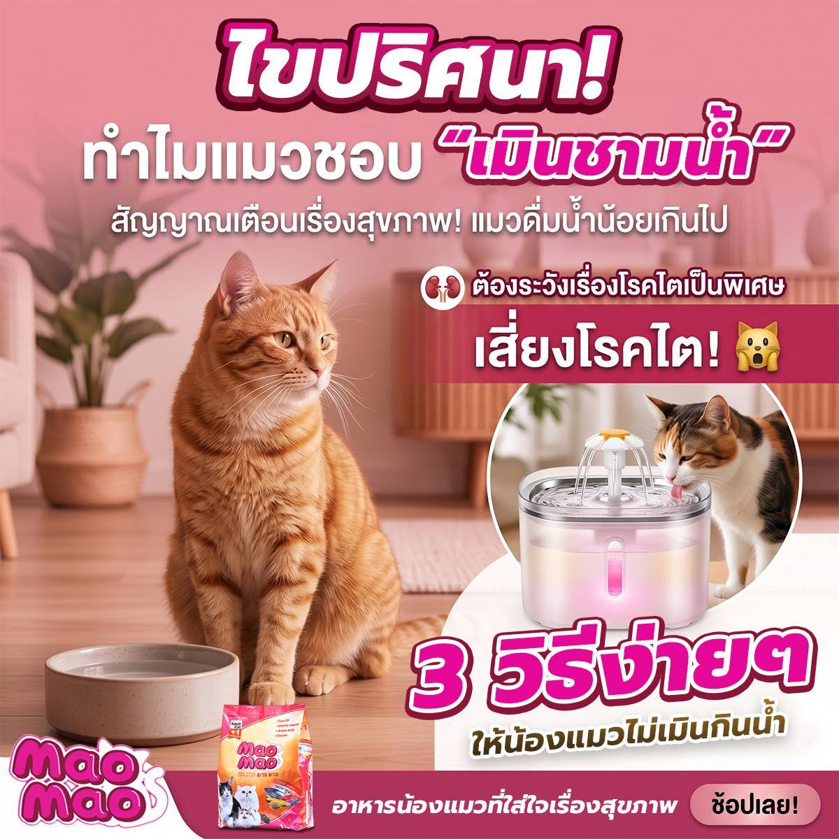 รูปลงบทความ1